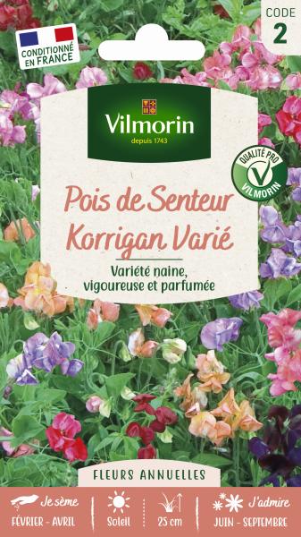 Fleurs - Pois de Senteur Korrigan varié - face recto